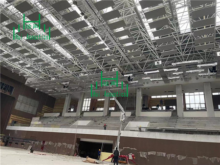河南郑州经贸学院体育馆空间吸声体项目